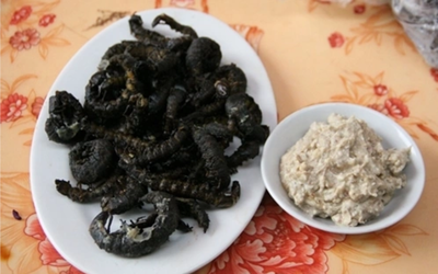 Con vật nhìn "sợ phát khóc" ở Tây Bắc xưa không ai ngó, nay thành món lạ, dân nhậu săn lùng