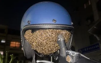 Treo mũ bảo hiểm qua đêm, người phụ nữ sốc nặng khi thấy cảnh tượng "nổi da gà"