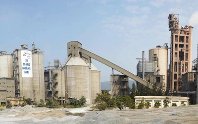 Vicem Hoàng Mai đặt mục tiêu lãi tăng 17% năm 2026 dù áp lực ngành gia tăng