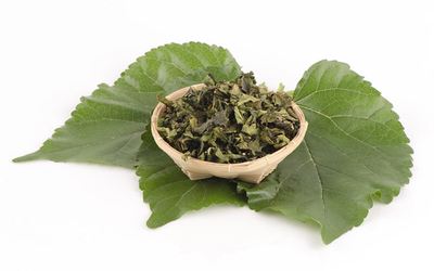 Đừng chỉ ăn quả, lá cây này quý như "nhân sâm của người nghèo", đang vào mùa đi chợ là thấy