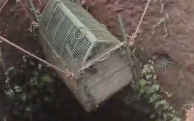 Đuổi theo con mồi, báo đen quý hiếm rơi xuống dưới giếng sâu 15 mét