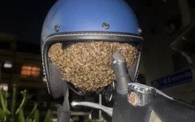 Để mũ bảo hiểm trên xe, người phụ nữ sốc nặng khi thấy cảnh đáng sợ