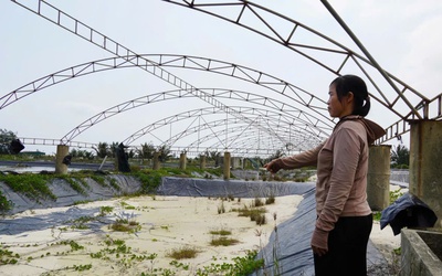 Chưa kịp “đổi đời” đã ôm khoản nợ tiền tỷ vì nuôi tôm