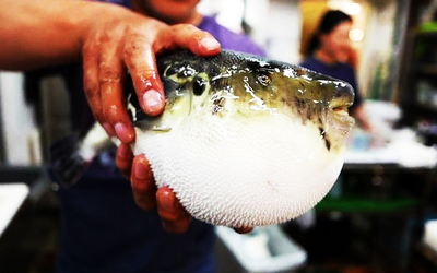 Bắt loại cá quen thuộc trong vườn nhà ăn, 3 người tê lưỡi nguy kịch