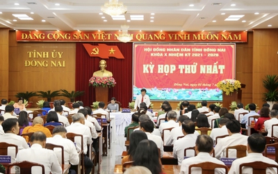 Đồng Nai kiện toàn bộ máy trước Kỳ họp thứ nhất HĐND khóa XI