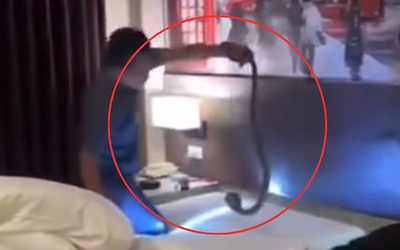 Nghe tiếng rít trong phòng khách sạn, cặp đôi hoảng sợ bỏ chạy