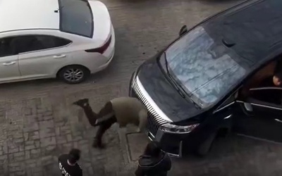 Tranh cãi, người đàn ông điên cuồng lao vào đầu xe ô tô