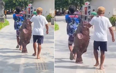 Ngư dân bắt được con cá mú khổng lồ trên biển