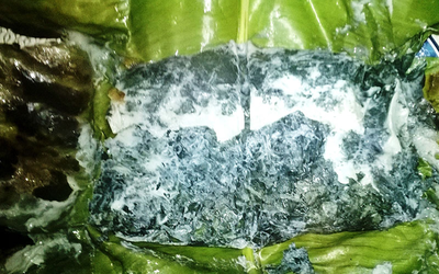 Loại lá mọc dại bờ rào được xem là "bảo bối" cho hệ tiêu hóa