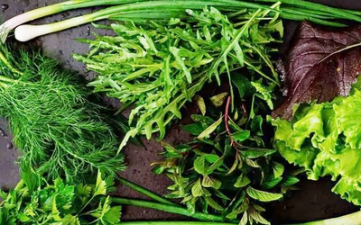 Loại rau gia vị tốt nhất, đem lại nhiều lợi ích cho sức khỏe