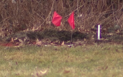 2 con nhỏ được phát hiện tử vong tại công viên, người mẹ bị bắt