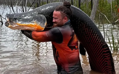 Cần thủ câu được con cá khổng lồ dài 2,2 mét, nặng 100kg trên sông