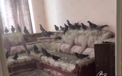 Vừa mở cửa, người đàn ông sốc khi thấy cảnh tượng "đáng sợ" trong nhà