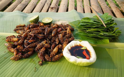 Con “re re” xưa không ai ngó, nay thành đặc sản Tây Bắc đắt đỏ, dân nhậu mê tít săn lùng