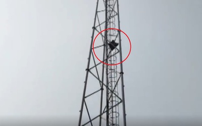 Cô gái trèo lên cột phát sóng di động và lý do bất ngờ