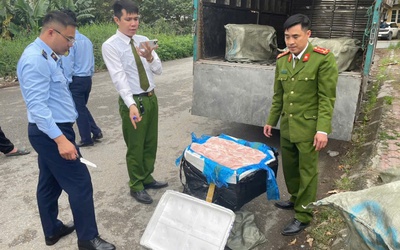 Hưng Yên: Thu giữ 600 kg nầm lợn đông lạnh không rõ xuất xứ
