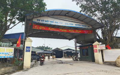 Đường dây “thịt lợn bẩn” 300 tấn tuồn vào trường học: Trạm trưởng "bảo kê" vì lương thấp?