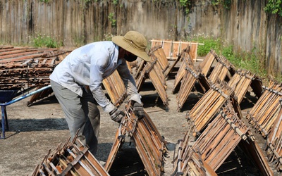 Đón “lộc rừng”, người dân miền núi Quảng Ngãi rộn ràng mùa thu hoạch