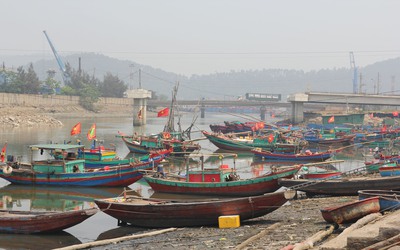 Ngư dân chật vật giữa mùa cá: Ra khơi lo lỗ, ở bờ lo đói