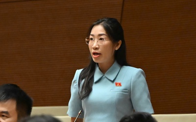 ĐBQH đề nghị bổ sung quy định xử lý trường hợp thông tin công khai không đầy đủ