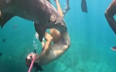 Người phụ nữ bị cá mập ngoạm vào chân khi đang lặn biển