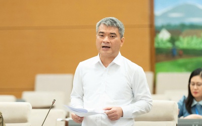 Đề xuất thực hiện thí điểm chế định luật sư công trong 2 năm