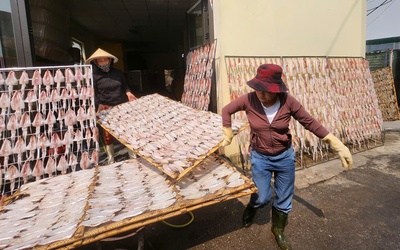 Từ mẻ cá quê đến thương hiệu OCOP: Hành trình “đánh thức” hải sản biển