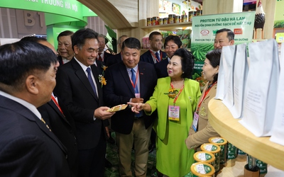 Doanh nghiệp thực phẩm tìm cửa ra giữa áp lực tiêu chuẩn và thị trường