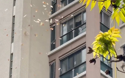 Người phụ nữ ném tiền mặt xuống đường, người dân tranh nhau nhặt