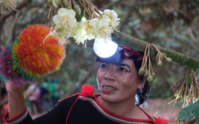 Phú Mỹ đồng hành Lễ hội sầu riêng Đắk Lắk 2026: Khởi đầu từ hoạt động thụ phấn hoa