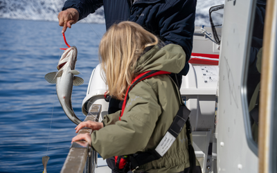 Xu hướng lựa chọn DHA cho trẻ nhỏ: Không chỉ là hàm lượng, mà là chất lượng toàn diện