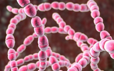 Bé 11 tuổi đột ngột co giật, bác sĩ “sốc” khi phát hiện thủ phạm quen thuộc