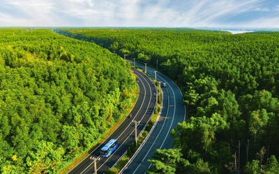 5.000 runners đếm ngược tới ngày “detox phổi” tại “mỏ oxy khổng lồ” của TP.HCM