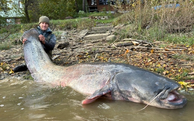 Ngư dân câu được con cá trê khổng lồ dài 2,5 mét trên sông