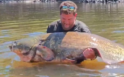 Người đàn ông câu được con cá trê khổng lồ nặng 102 kg, dài 2,33 mét