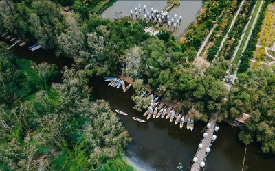 Trà Sư: Bản giao hưởng diệp lục giữa miền Tây huyền tích