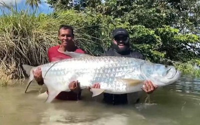 Ngư dân câu được con cá khổng lồ dài 1,89 mét trên sông