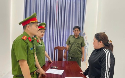 Bắt nữ giám đốc công ty xây dựng trốn thuế hơn 700 triệu đồng