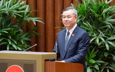 Trình Quốc hội sửa 4 luật thuế, thay đổi ngưỡng chịu thuế với hộ kinh doanh