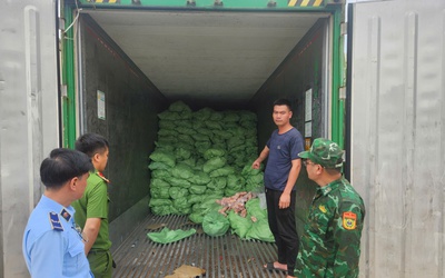 Quảng Ninh: Thu giữ hơn 25 tấn thực phẩm đông lạnh không rõ nguồn gốc