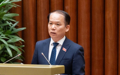 Hỗ trợ tối đa không quá 300% mức lương cho người  giải quyết tranh chấp đầu tư quốc tế