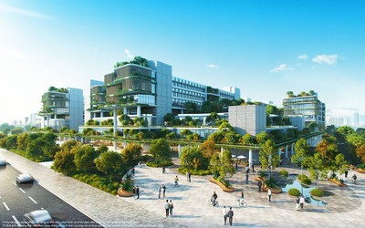 Mitsubishi Motors Vietnam Nha Trang City Trail 2026: Đánh thức 5 giác quan bằng hành trình từ phố biển đến đỉnh núi thiêng