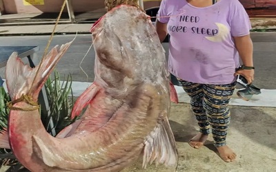 Nữ ngư dân câu được con cá khổng lồ nặng 121 kg, dài 2,28 mét
