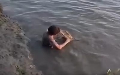 Cậu bé gọi cá sấu lại gần bờ rồi cầm bàn chải đánh răng