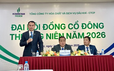 ĐHĐCĐ: Vừa trúng gói thầu 16 triệu USD, PVChem vẫn đối mặt áp lực chi phí đầu vào