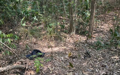 Điều tra vụ phát hiện thi thể nam giới trên bãi đất trống giữa rừng phòng hộ