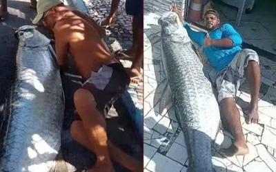Ngư dân bắt được con cá khổng lồ dài 1,9m và nặng 120kg