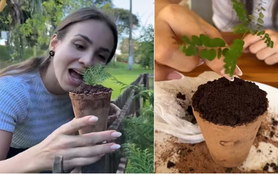 Cô gái trẻ ngày nào cũng ăn đất sét, bí ẩn phía sau khiến hàng triệu người choáng váng