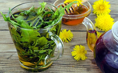 Loài cây mọc đầy vườn ở Việt Nam: Bị thờ ơ, coi là cỏ dại nhưng thế giới lại săn lùng như “thần dược”