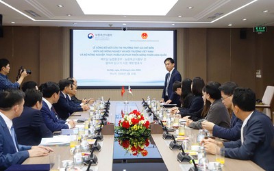 Thịt gà chế biến Việt Nam tăng cơ hội xuất khẩu sang thị trường khó tính